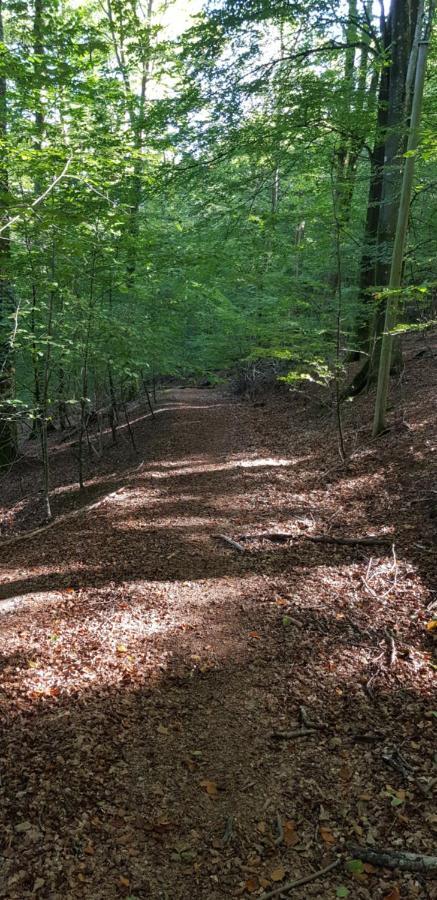 Lill Hagahus, Soederasens Nationalpark Villa Kagerod ภายนอก รูปภาพ