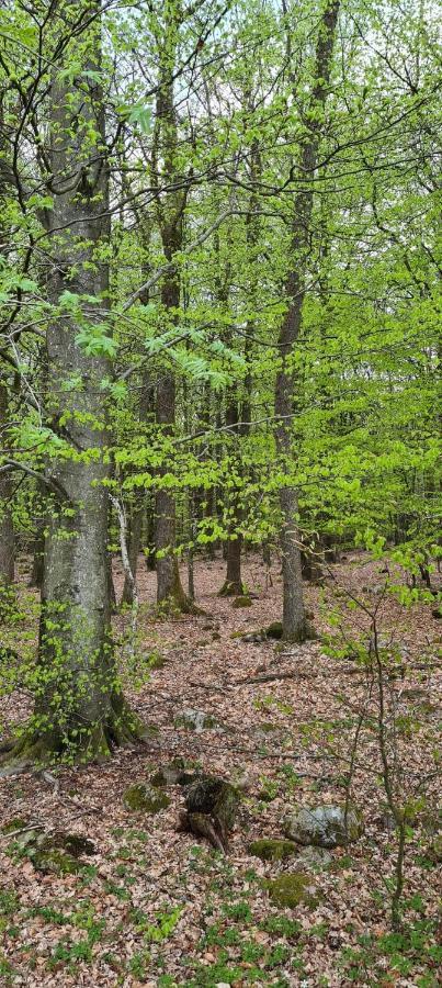 Lill Hagahus, Soederasens Nationalpark Villa Kagerod ภายนอก รูปภาพ